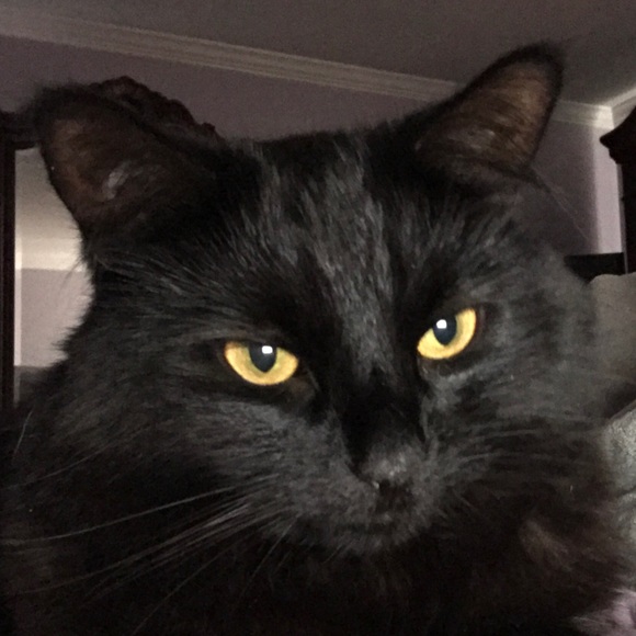 Meet your Posher, Margaret - Picture 1 of 1